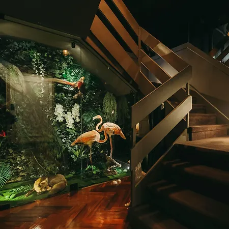 Alojamento de Acomodação e Pequeno-almoço The Felix 10 Lisboa