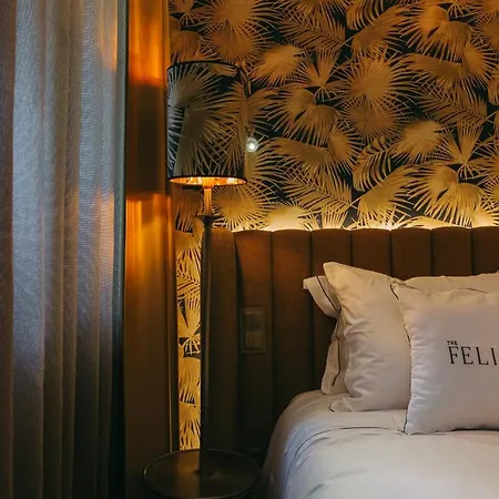 Bed & Breakfast The Felix 10 *