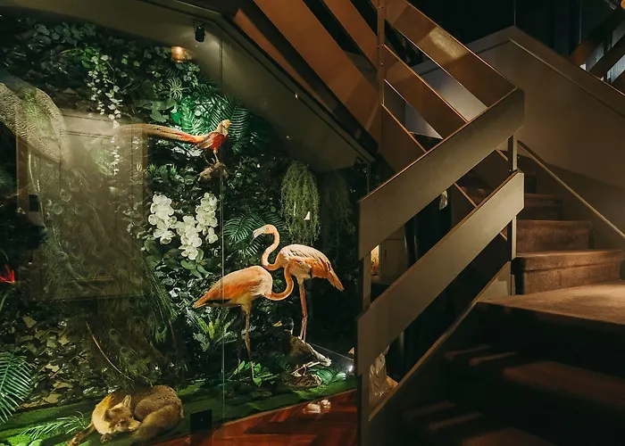 Couette-café The Felix 10 Lisboa